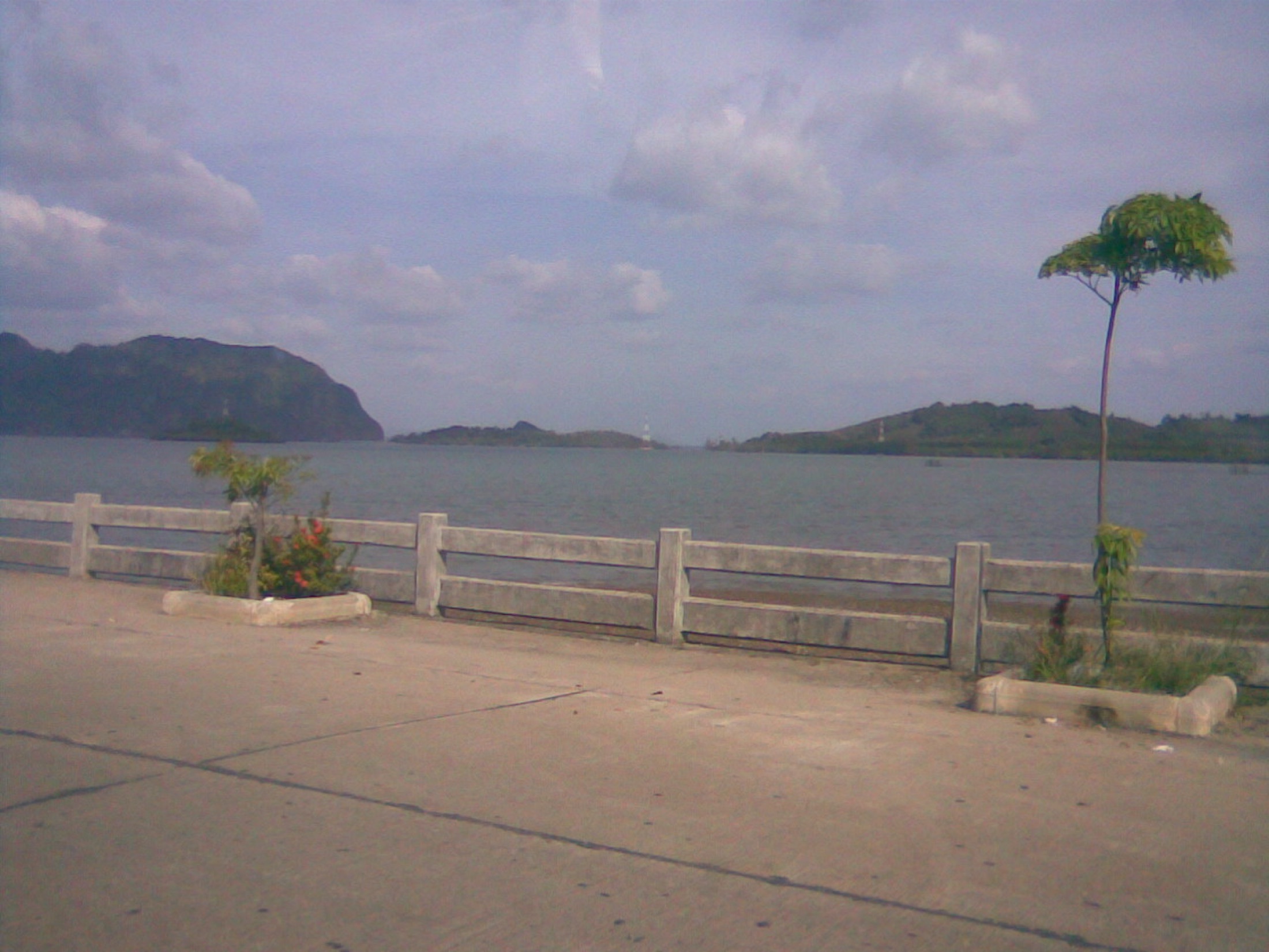 Passenger ferry arrival in the Andaman island network